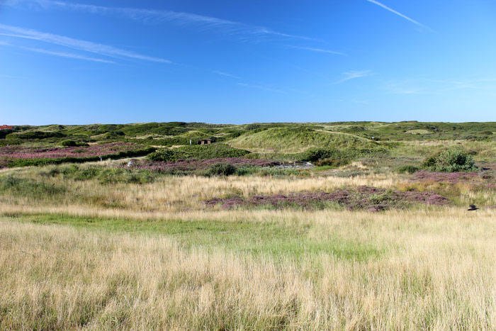 Landschaftsschutzgebiet