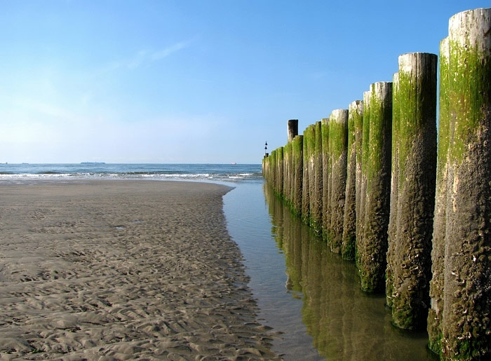 Pfahlbuhne am Surfstrand
