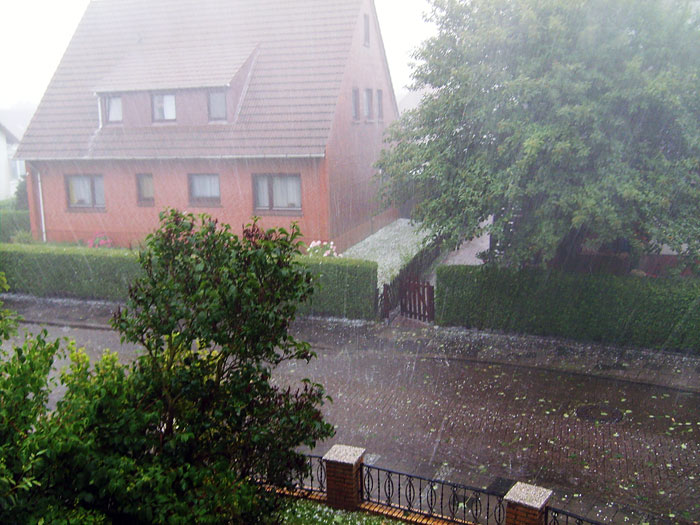 Hargelschauer im Dorfgroden