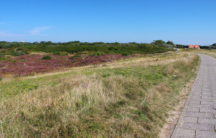 Heided&uuml;nen am S&uuml;ddeich