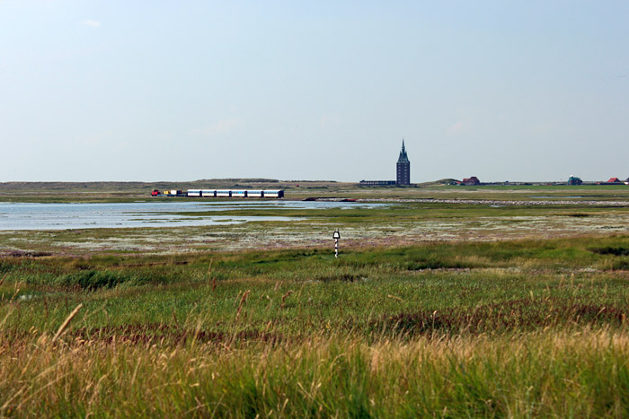 Deichvorland und Salinebucht