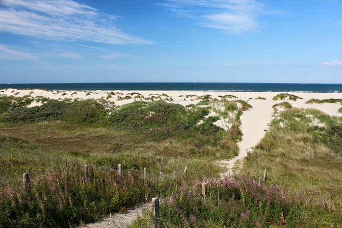Von der Aussichtsplattform nach Norden geblickt
