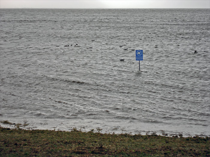 Überflutetes Deichvorland