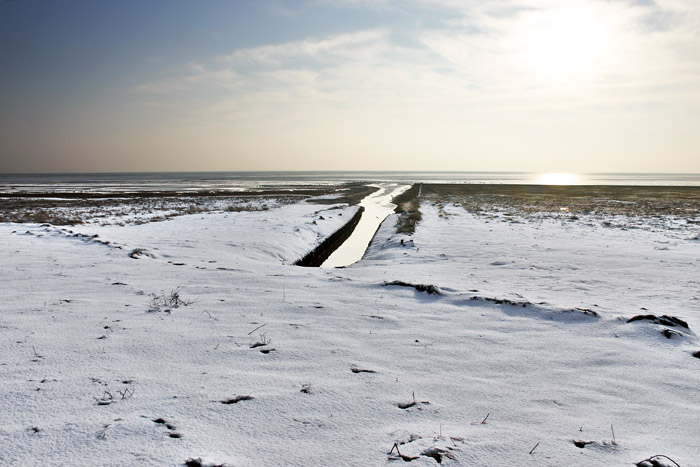 Ostaußengroden beim Pumpwerk