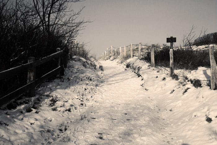 Verschneite D&uuml;nen&uuml;berwegung