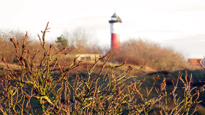 Osterd&uuml;nen im Winter