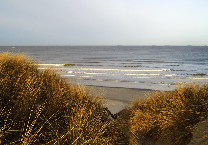 D&uuml;nen beim Bielefelder Heim