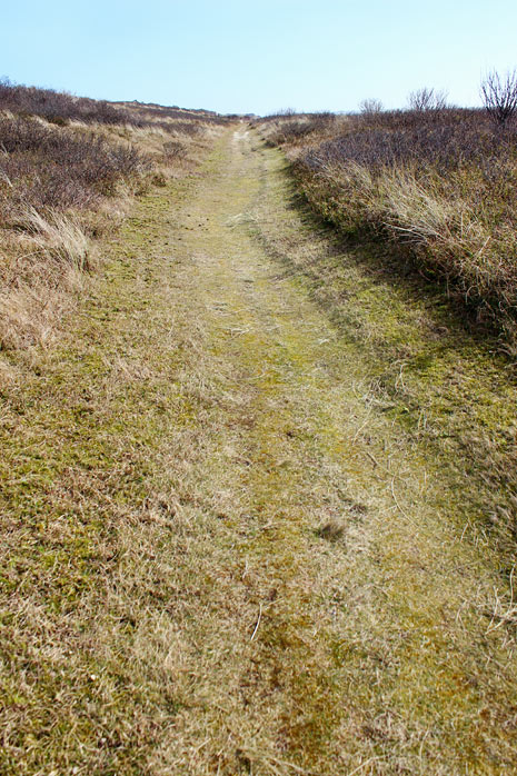 Unterwegs auf dem D&uuml;nenweg