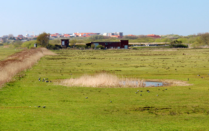 Kl&auml;ranlage im Ostinnengroden