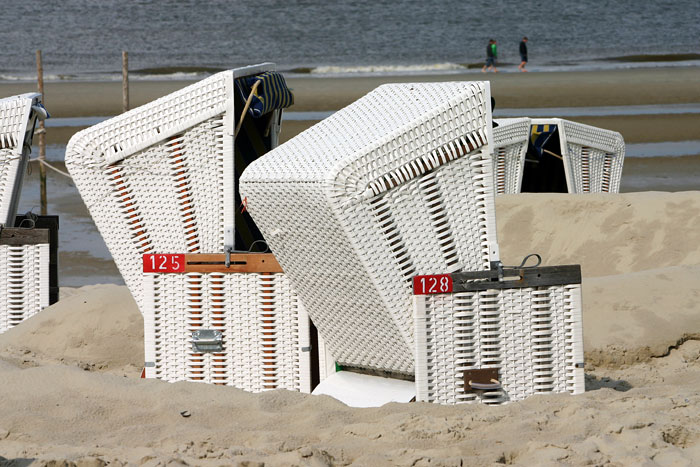 Ostfeld-Strandk&ouml;rbe