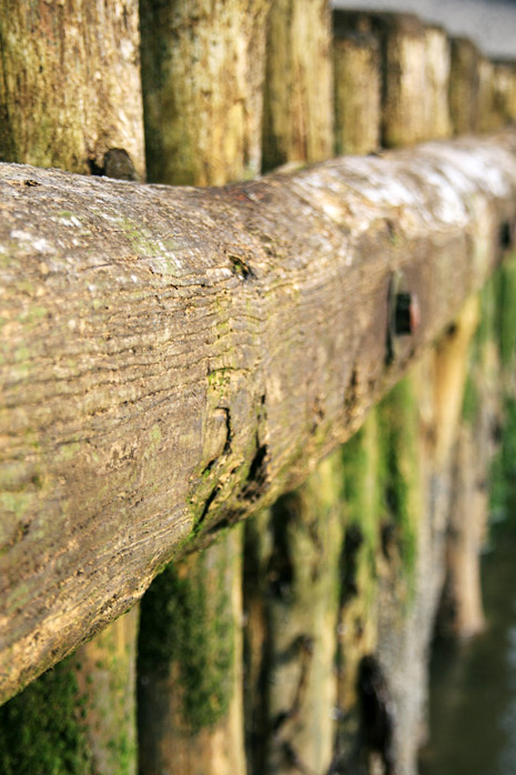 Pfahlbuhne L im Detail