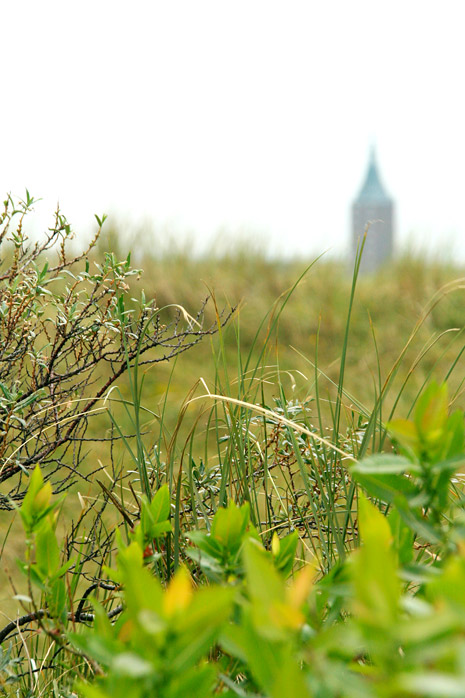 Natur der Braundünen
