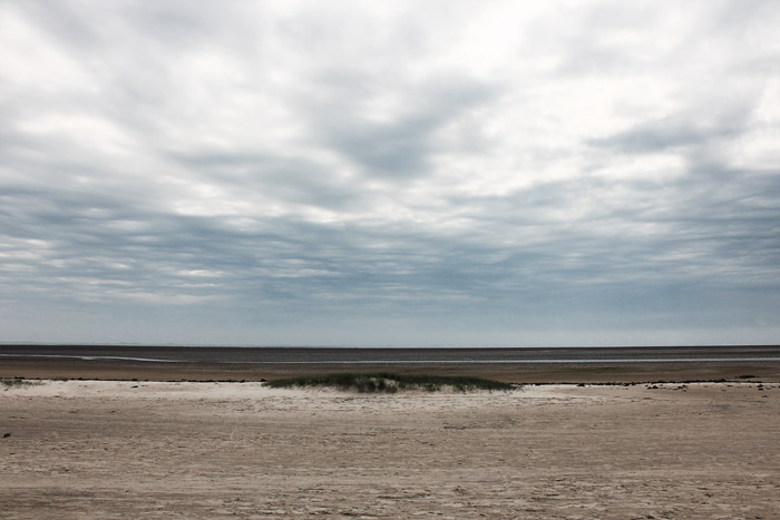 Blick aufs Wattenmeer