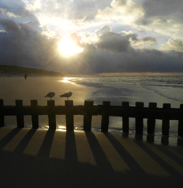 Pfahlbuhne M am Abend