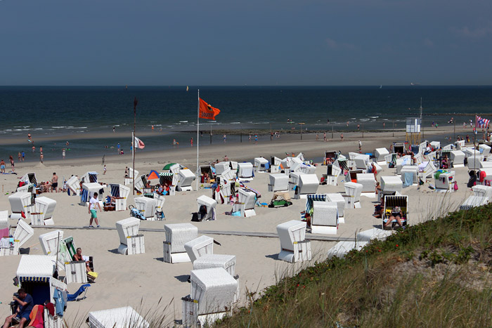 Sommerstimmung am Westfeld