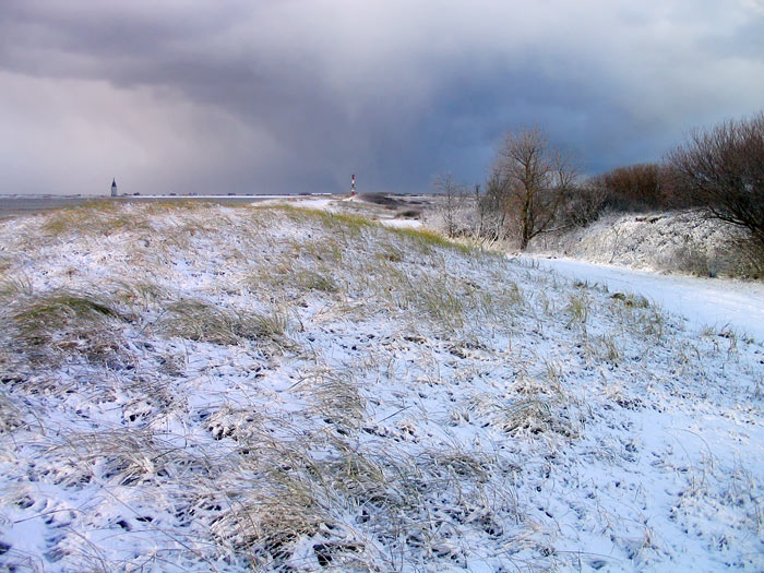 Auf dem S&uuml;ddeich