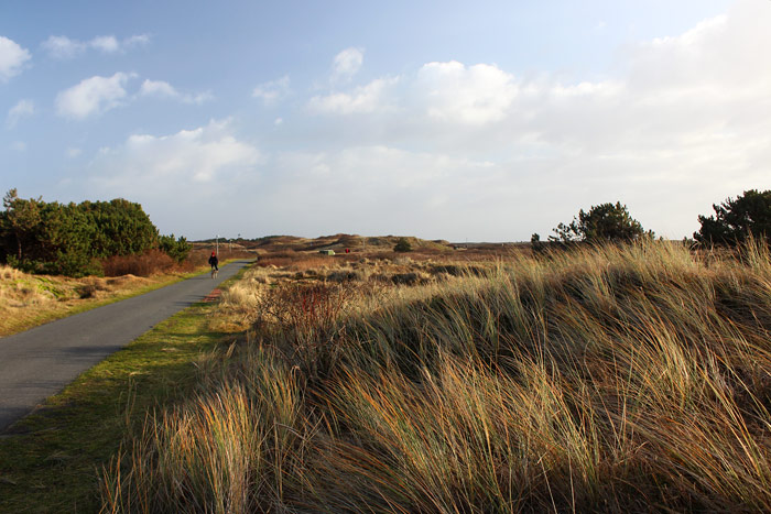 D&uuml;nen an der Stra&szlig;e zum Westen