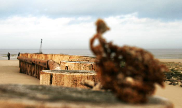 Pfahlbuhne M im Detail