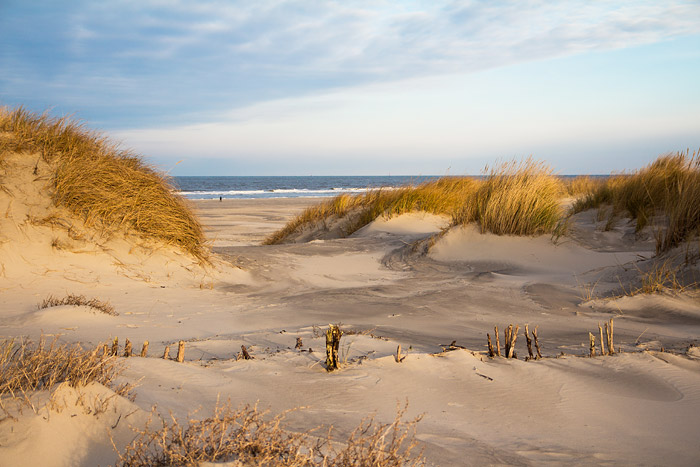 Wei&szlig;d&uuml;nen im Osten