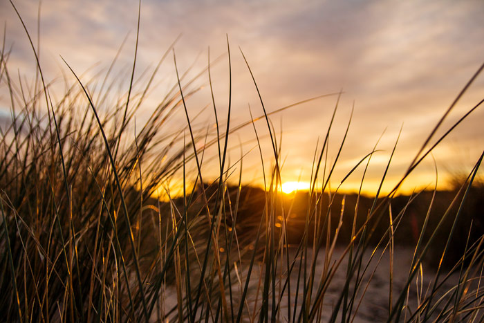 Sonnenuntergang in den Ostd&uuml;nen