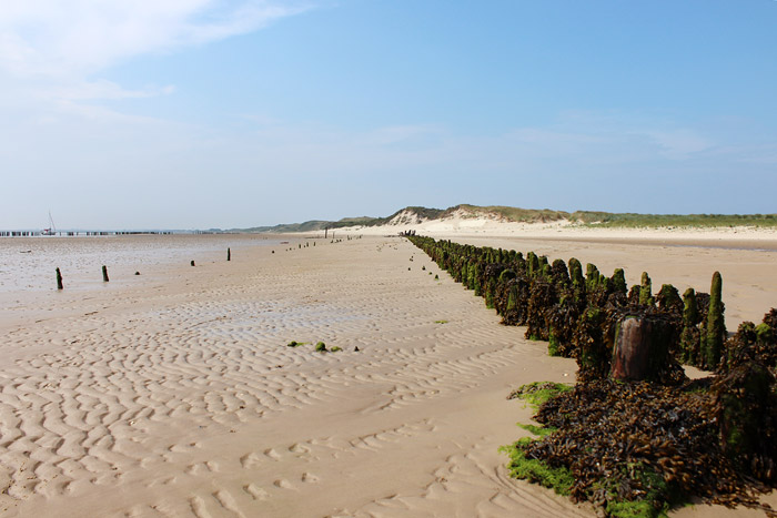 Blick auf die Ostd&uuml;nen