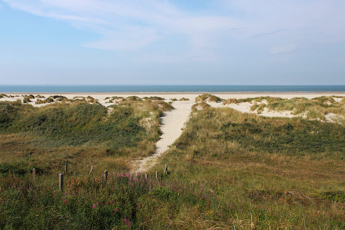 D&uuml;nen&uuml;berwegung im Osten