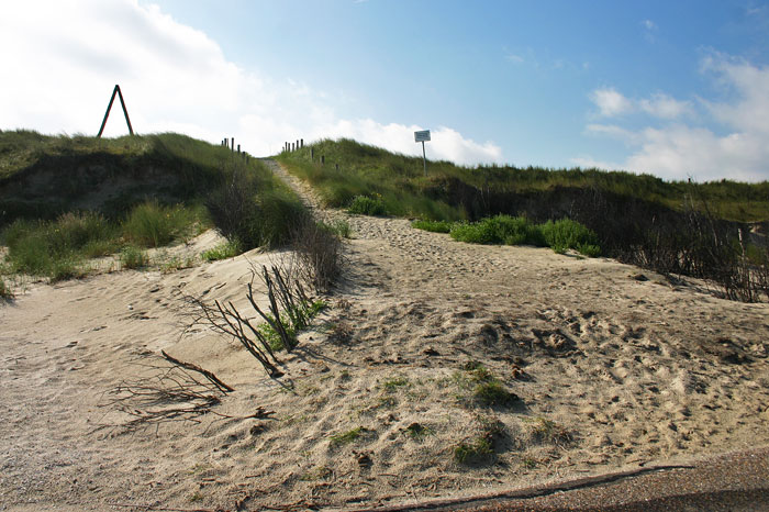 D&uuml;nen&uuml;berwegung am Nordwestl&auml;ngswerk