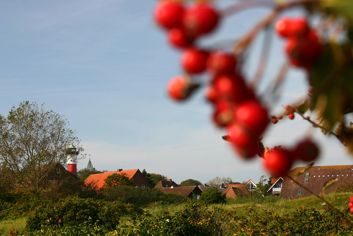 Am Rande der Siedlerstra&szlig;en-D&uuml;nen