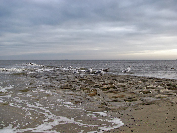 Buhne bei Hochwasser