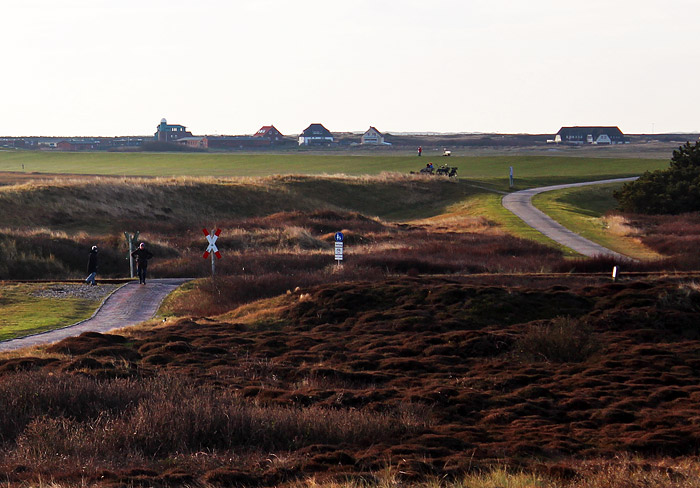 Blick auf den Westgrodendeich und das Westdorf