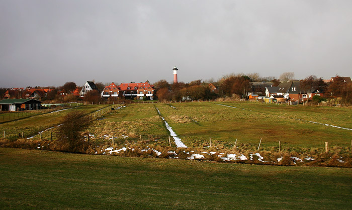 Weiden im Dorfgroden