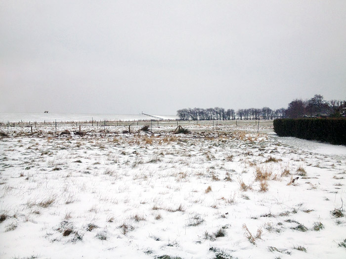 Weiden im Dorfgroden