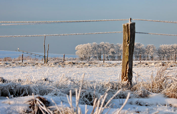 Winterstimmung im Dorfgroden