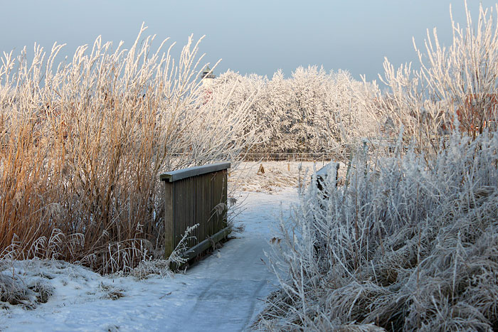 Frostige Brücke im Dorfgroden