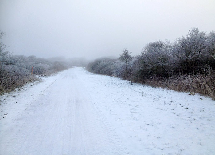 Gefrierender Nebel auf Wangerooge