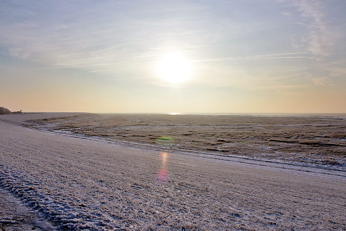 Winterliches Deichvorland