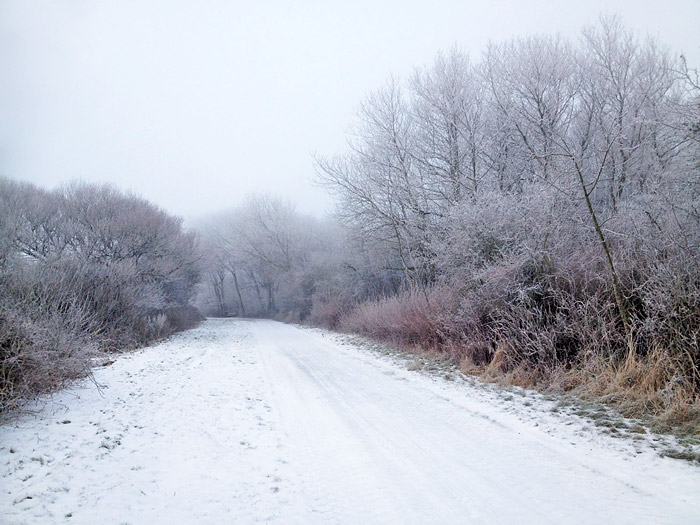 Stra&szlig;e zum Osten