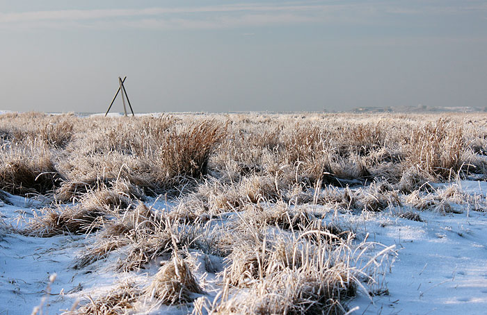 Vereiste Salzwiesen am Georgspad