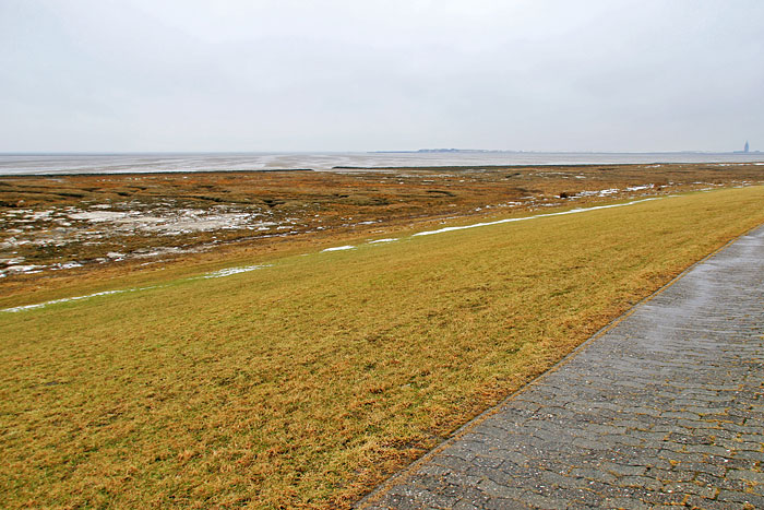 Vorland des Dorfgrodendeichs