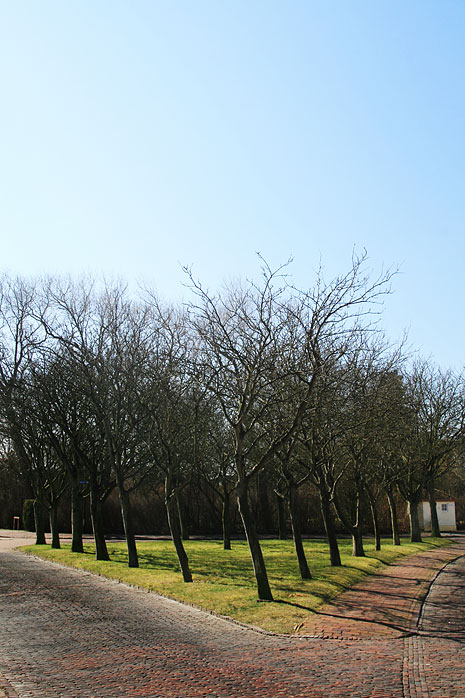 Verkehrsinsel an der Bahnhofstraße