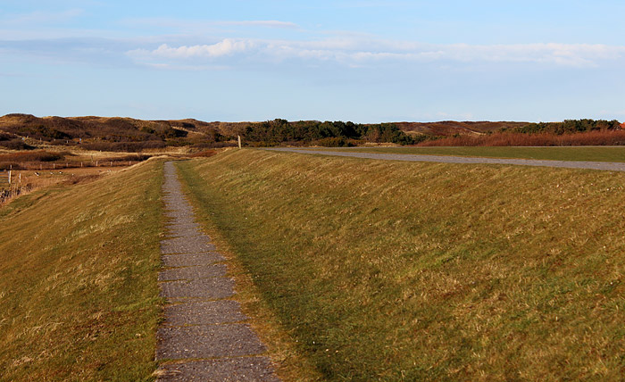 Alter Weg auf dem Westgrodendeich