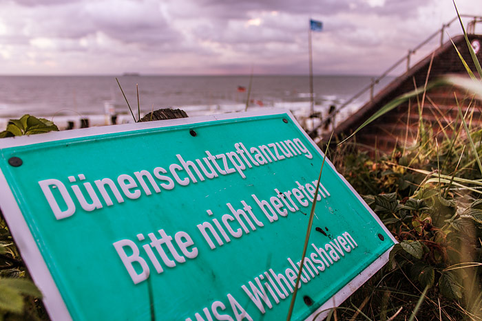 D&uuml;nenschutzpflanzung