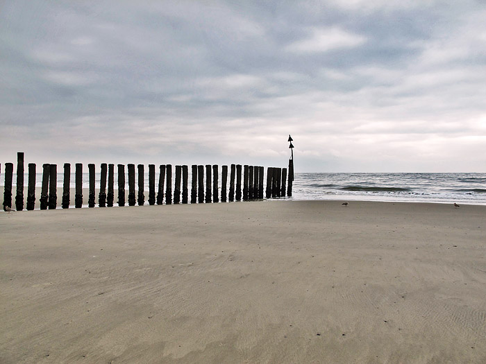 Pfahlbuhne im Herbst