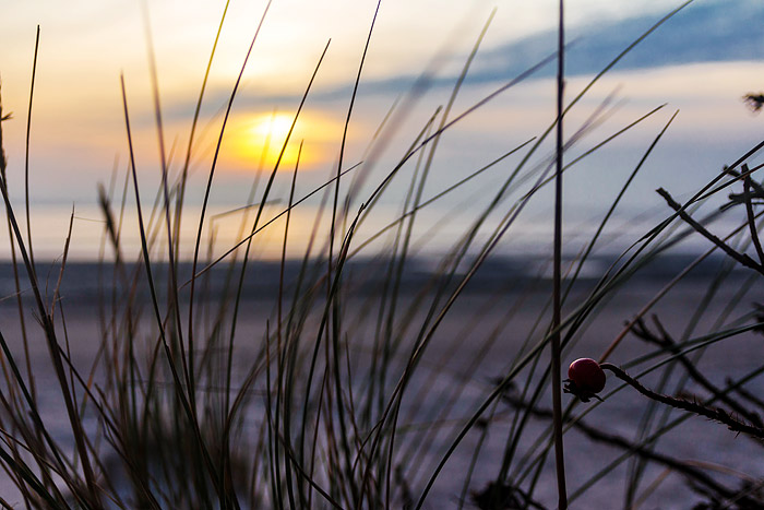 Abendstimmung am Watt