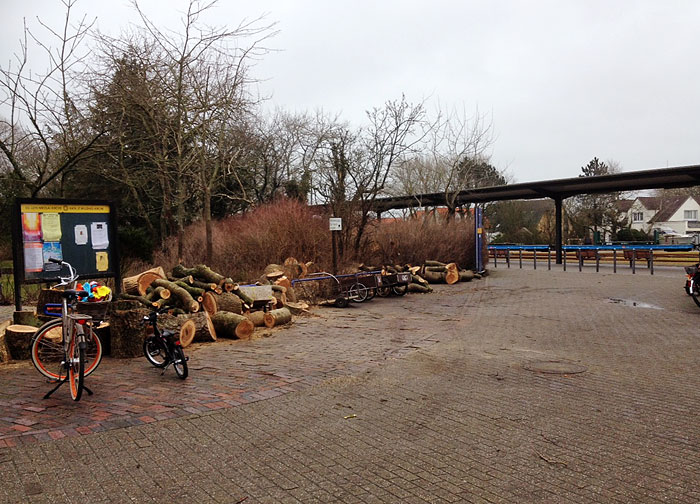Rodungsarbeiten am Bahnhof