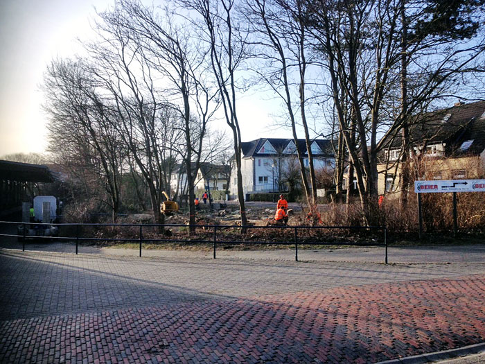 Rodungsarbeiten am Niobeplatz