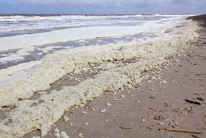 Schaum am Weststrand