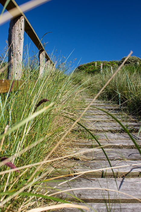 Zugewucherte &Uuml;berwegung