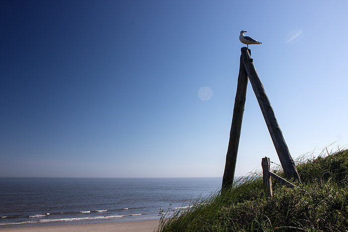 A-Mast an der &Uuml;berwegung