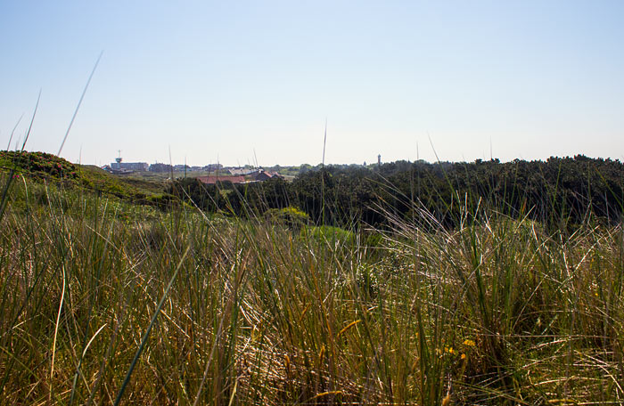 In den Nordd&uuml;nen